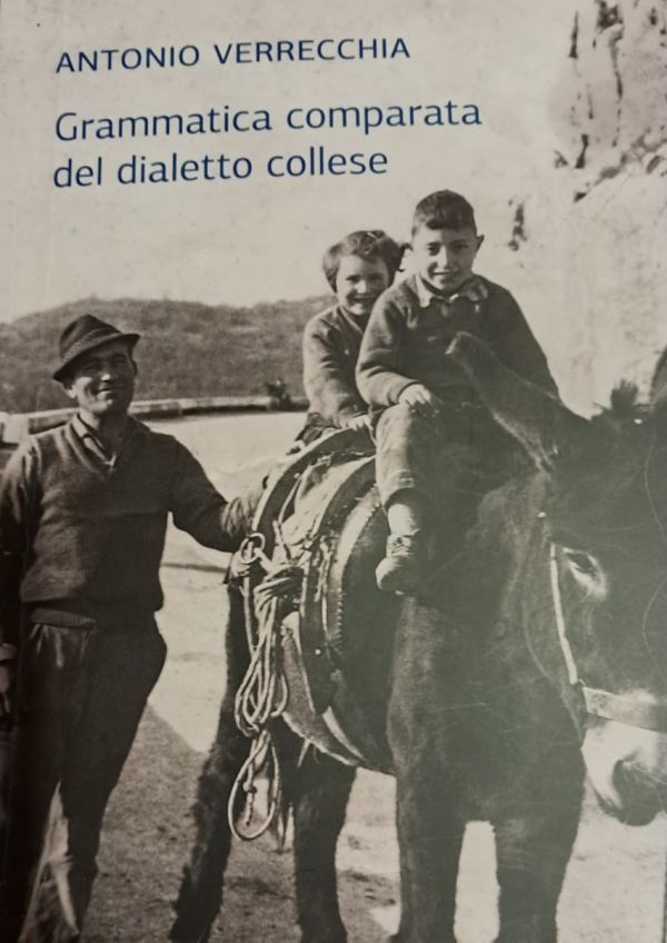 Copertina libro della grammatica comparata collese